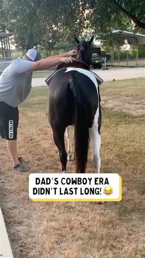 His time riding a horse was over as soon as it started 😂 | Dad Jokes