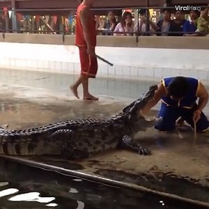 2.4M views · 10K shares | He thought that was the end...  | LADbible | Facebook