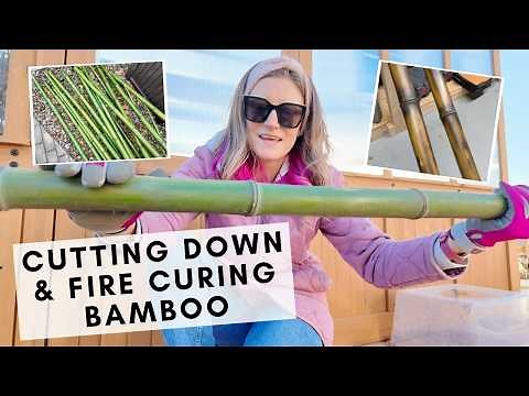 How to heat cure bamboo to increase its durability in the garden
