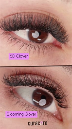 Clover Lash Collection | 5D, 7D & Blooming Fans for Fluffy, Bold Volume Sets