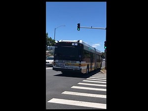 Thebus Honolulu Bus' 184 New Flyer XDE60 Route E CountryExpress! Waikiki (Part 2)