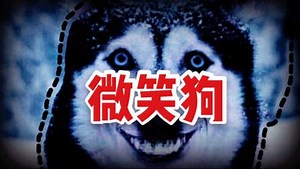 微笑狗的故事背后，到底是什么可怕的灵异故事？