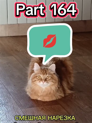 Hilarious Random People Compilation!