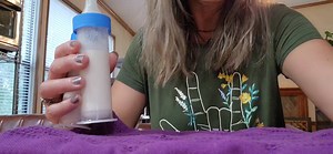 Happy birthday Claudia!! | Little Bit Wildlife Rescue