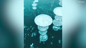 Stunning frozen methane bubbles can be observed in Alberta lake