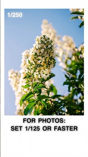 Shutter Speed Explained 📸 #photography #videography #filmmaking #camerasettings #shutterspeed