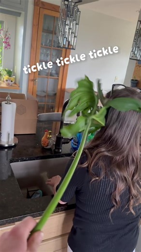 Musta been a bug #tickle #goochiegoo #bug #ticklish #sorrymom | tickles