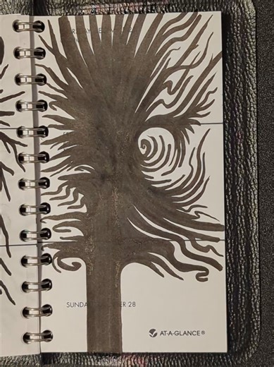 Wild Tree Time Lapse Drawing 🪾 | Draw