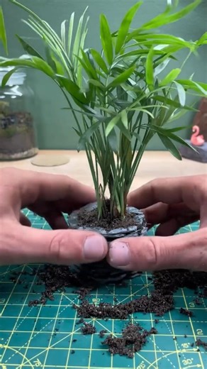 Aesthetic Hoop Art Miniature Plant Pot Diorama | DIY MCS #shorts #muthucraftstudio