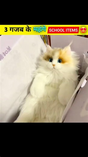 Ye School items toh Next Level hain! 🔥 “Warning Inhe dekh ke shopping ka mann karega!”#giveaway