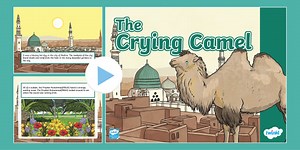 KS2 The Crying Camel Teaching Pack
