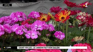 Au salon du Jardin et du Paysage à l'Hermitage, il y avait du choix pour les passionnés. Des plantes vertes en veux-tu en voilà ! | Réunion la 1ère