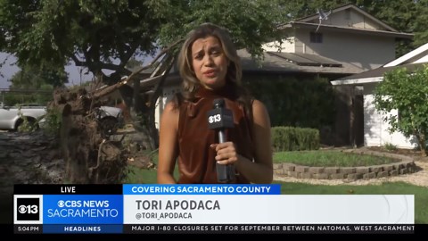 National Weather service says downburst, not tornado, uproots dozens of trees in Carmichael