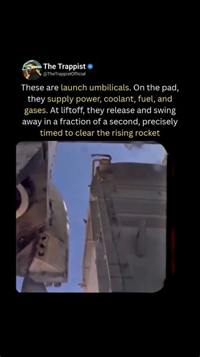 Watch These Umbilicals Escape Just Before Launch
