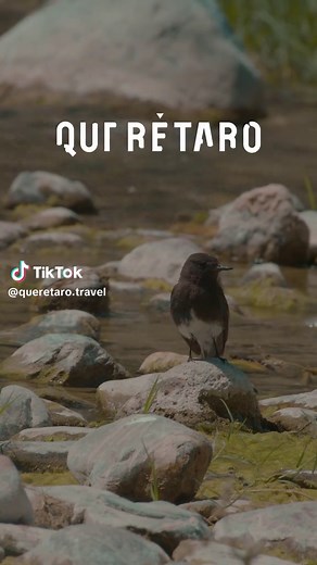 Descubre el Cañón del Paraíso en Peñamiller, Querétaro