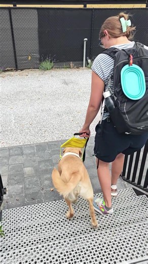 6.1K views · 61 reactions |  Geslaagd duo!  Een tijdje geleden...