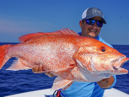 Bottom-Fishing Tackle Built for Snapper Season