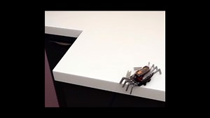 Watch 4M Table Top Robot on Amazon Live