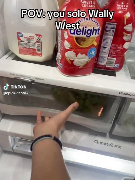 POV: Solo Wally West Experience in The Flash