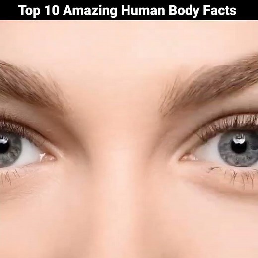 42 Top 10 Amazing Facts About Human Amazing facts Random Facts #shorts #short #facts