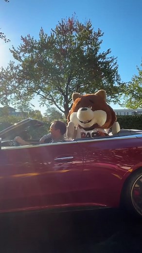 19K views · 19 reactions | Get in, we're going car shopping 力 Download the CARFAX Car listings app today: https://carfax-app.onelink.me/3ysv/vc2l1qa4 | CARFAXinc | Facebook