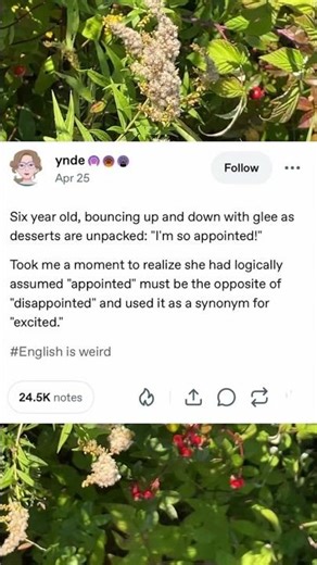English Is Weird Tumblr Post