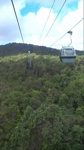 Skyrail Rainforest Cableway (Cairns, Australia)