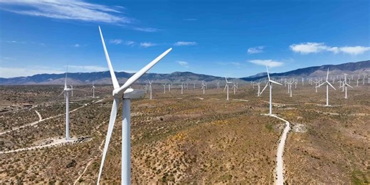 The World’s Largest Wind Farm has a Tiny Problem