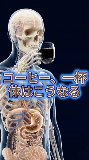 What happens to your body when you drink one cup of coffee a day
