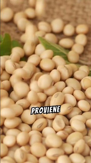 PROTEÍNA ANIMAL VS PROTEÍNA VEGETAL #curiosidades #sabiaque #nutricion