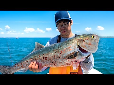 24 Hours to Catch as Much Trash Fish as Possible