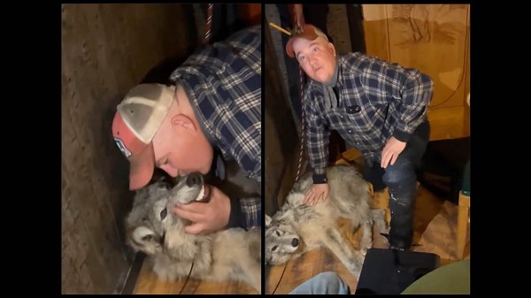 Trial to go forward against man who allegedly tortured, killed wolf