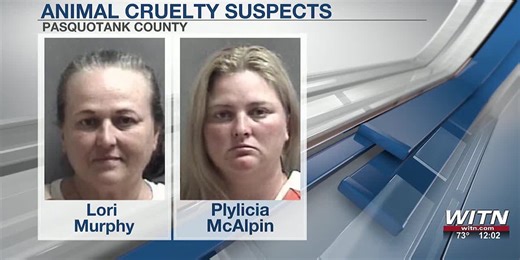 Women charged with 23 counts of animal cruelty involving mistreated horses