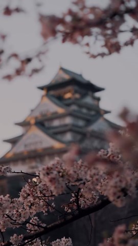 A calm morning walk through Osaka Castle