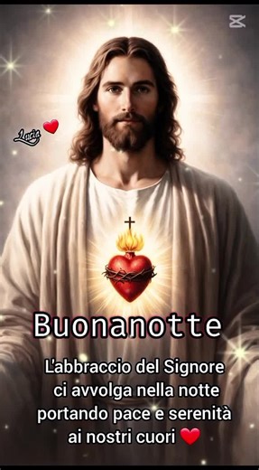 #gesùmio🙏🏻❤ #gesùtiama❤ #buonanottegesù #preghiamoinsieme🙏