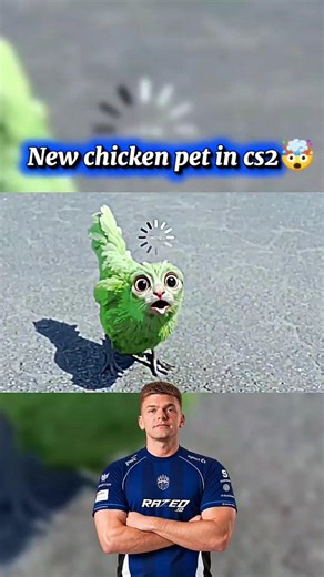 New Chicken Pet in CS2🤯...#cs2