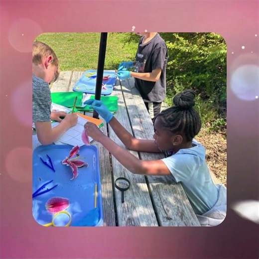 3rd Grade Flower Dissection Study