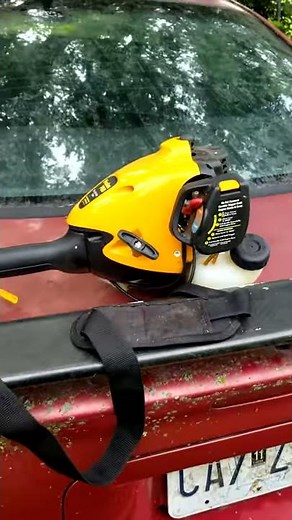 Poulan pro 25cc pole saw, 5 years old, converted to Brush cutter