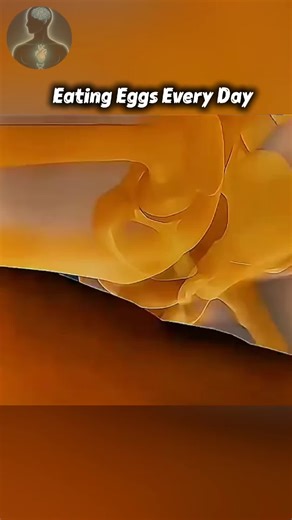 The Benefits of Eating Eggs Every Day