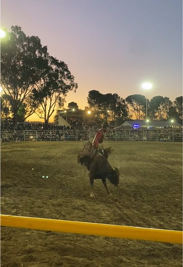 Managed to slip by “chicken switch” at Marrabel PBR hopeful the first of many PBR’s! huge Thanks to my Sponsor @HahndorfLeathersmith for helping me make it down the road week in week out #bullriding #roughy #rodeo #rideordie #fyp #foryourpage #rodeo #bulls #rodeotime #pbr #pbraustralia #MarrabelPBR