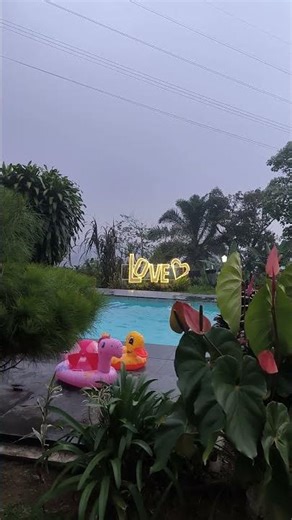 Cozy Rainy Pool Ambience 🌧️ Relaxing Piano Music for Sleep & Calm Moments