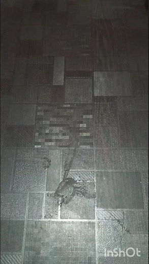 diy paper mat at home #shorts viral 🔥