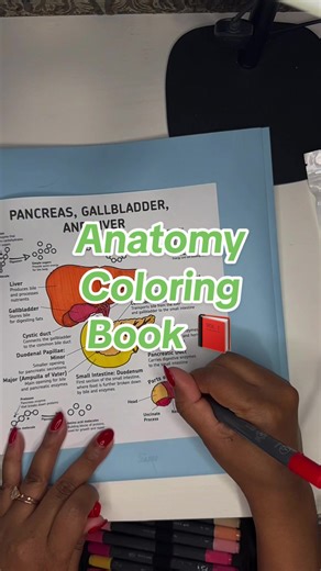 Anatomy has never been more engaging ! #Prenursing #NursingStudent #nursingstudent101 #NursingSchoolLife #nurse