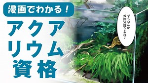 アクアリウム資格取得検定の通信講座 | 諒設計アーキテクトラーニング