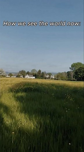 I miss all of the color. #nostalgia #nostalgic #90s #2000s #childhood #throwback #90skids #retro