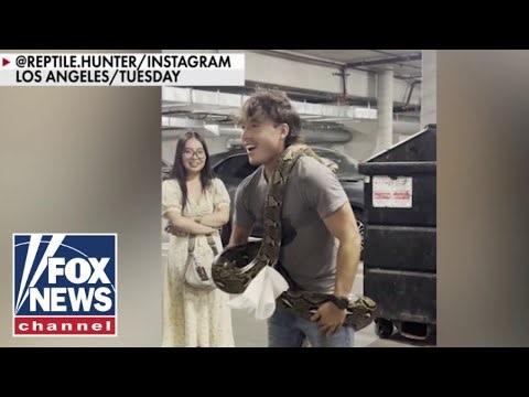 Reptile Hunter captures massive 16-foot surprise in downtown LA