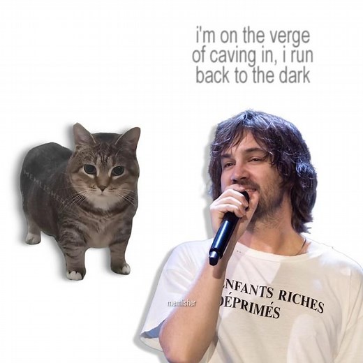 TAME IMPALA - DRACULA, but it's Oiiai Cat Remix (uiiai) #mashup #remix #oiiacat ‪@TameImpala‬