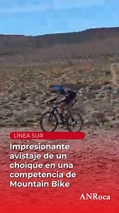 #rionegro INSOLITO: Se les cruzó un choique en una carrera de bicis. Fue en una competencia de mountain bike en Río Negro. “Guarda el avestruz” atinó a gritarles alguien que miraba la competencia. https://www.anroca.com.ar/noticias/2025/03/11/180330-video-se-les-cruzo-un-choique-en-una-carrera-de-bicis | ANR - Agencia de Noticias Roca
