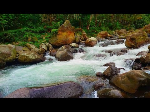 River Sounds for Deep Sleep | Fall Asleep Fast & Stay Asleep