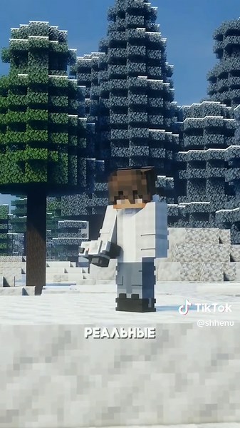 Camerapture: The Newest Minecraft Video Camera Mod